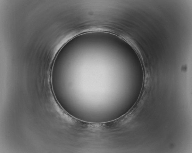 X0000111390813200907171244