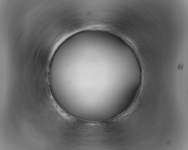 X0000111390816200907171244