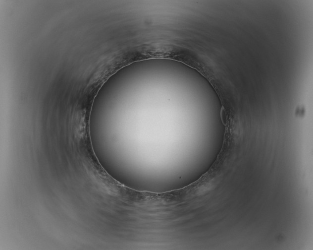 X0000111390818200907171244