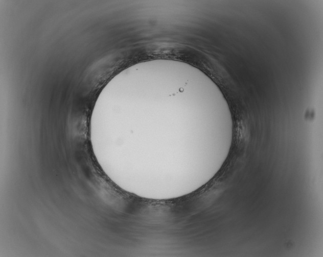 X0000111390820200907171244