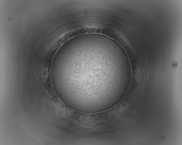 X0000111390821200907171244