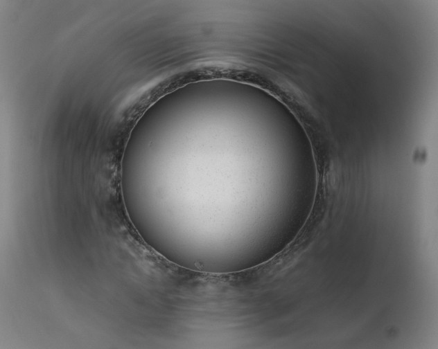 X0000111390822200907171244