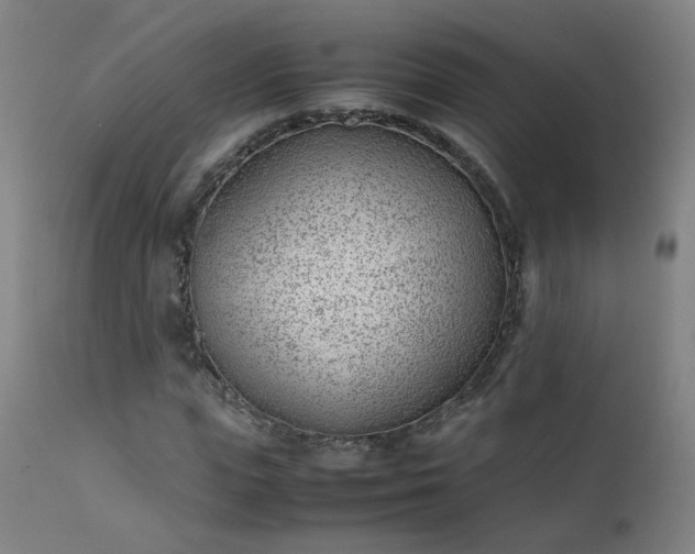 X0000111390823200907171244