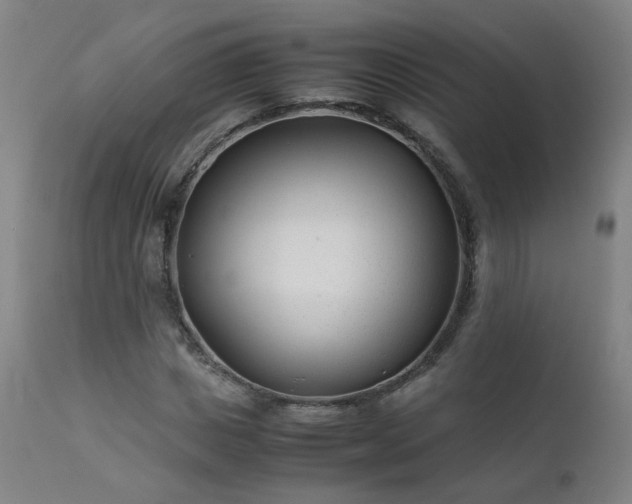 X0000111390825200907171244