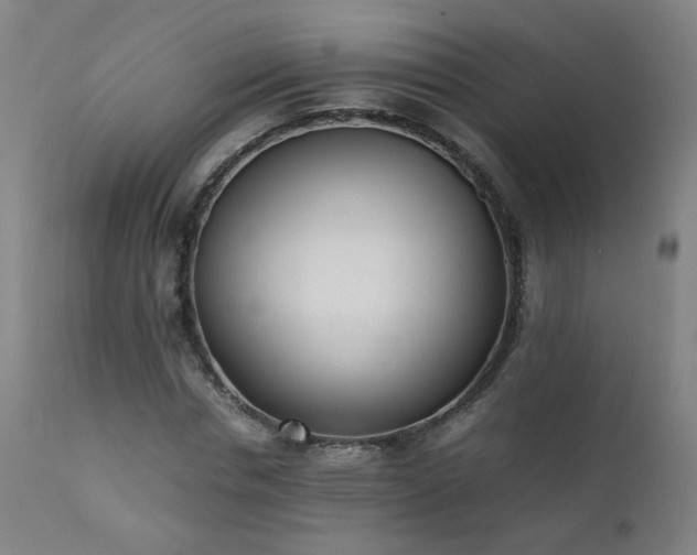 X0000111390826200907171244