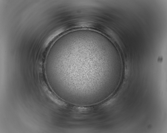 X0000111390827200907171244