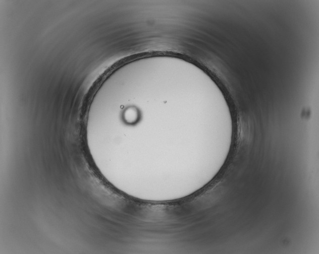 X0000111390828200907171244