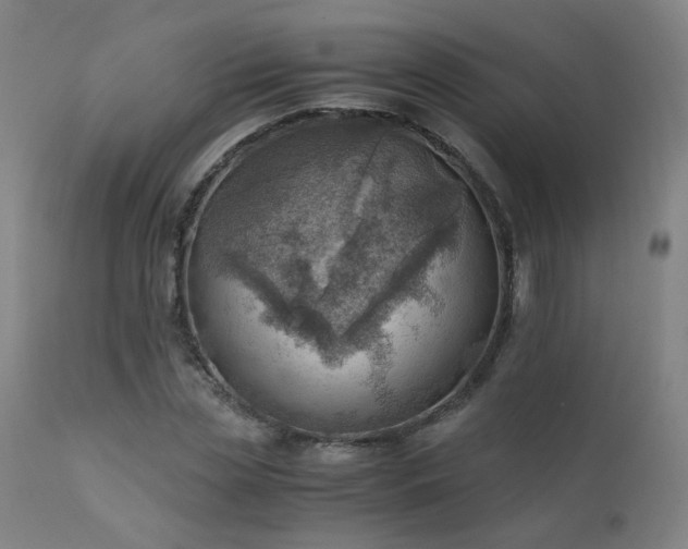 X0000111390829200907171244