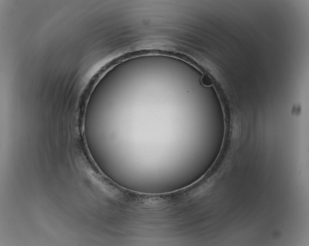 X0000111390830200907171244