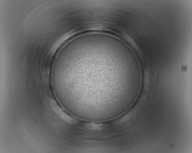 X0000111390831200907171244