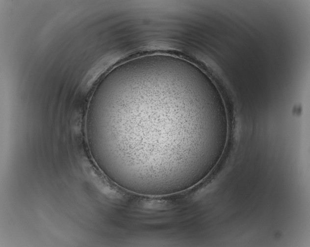 X0000111390833200907171244