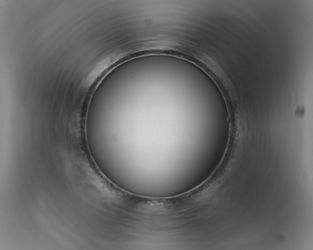 X0000111390834200907171244