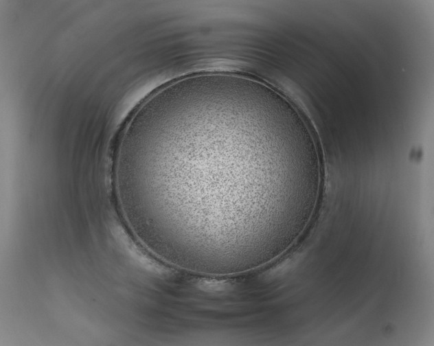 X0000111390835200907171244