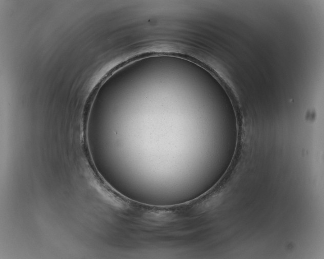 X0000111390837200907171244