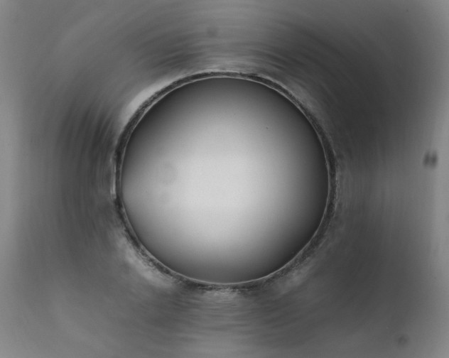 X0000111390838200907171244