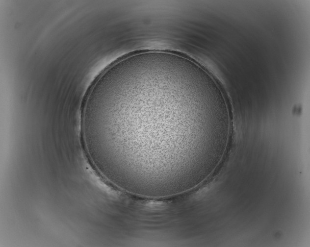 X0000111390839200907171244