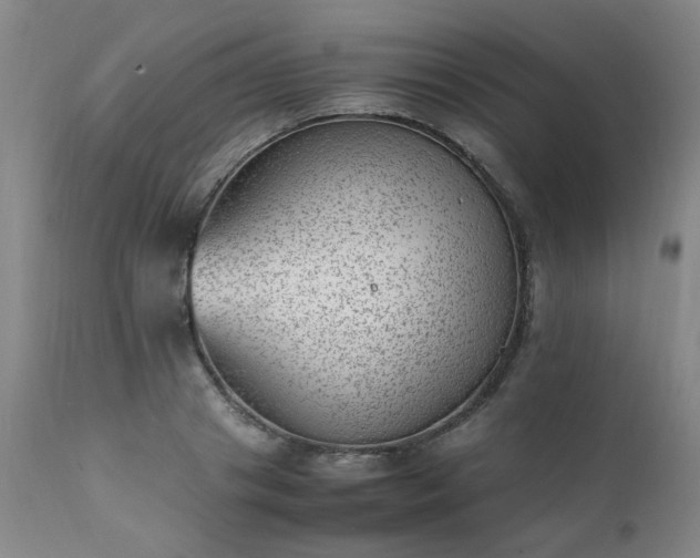 X0000111390841200907171244