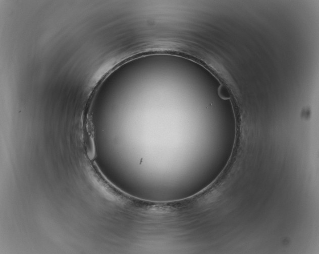 X0000111390842200907171244