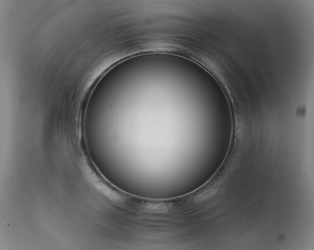 X0000111390843200907171244