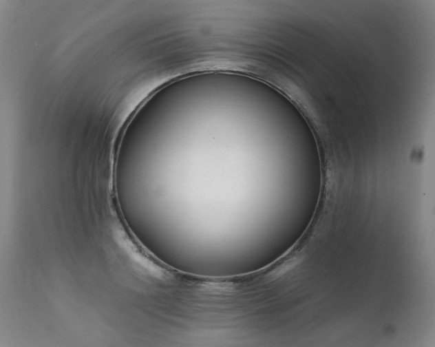 X0000111390844200907171244