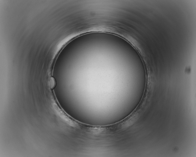 X0000111390854200907171244