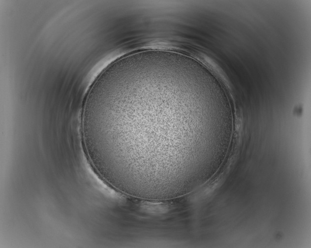 X0000111390855200907171244