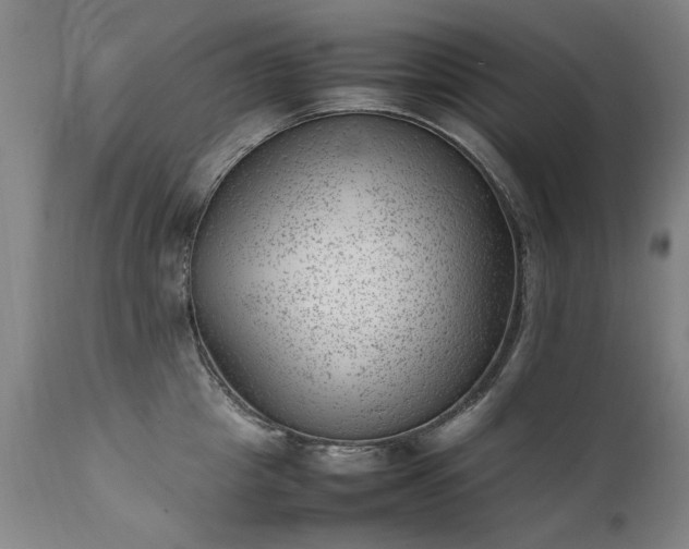 X0000111390857200907171244