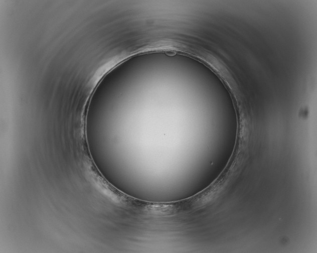 X0000111390858200907171244