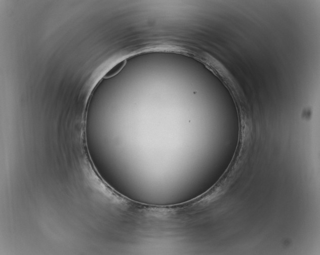 X0000111390860200907171244