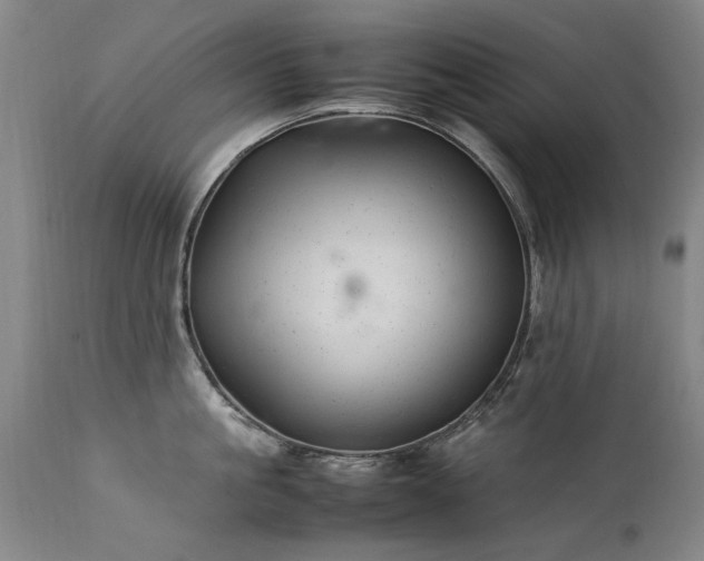 X0000111390861200907171244