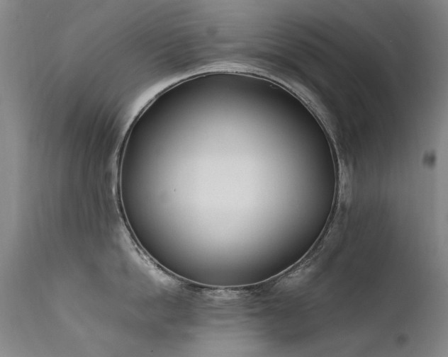 X0000111390862200907171244