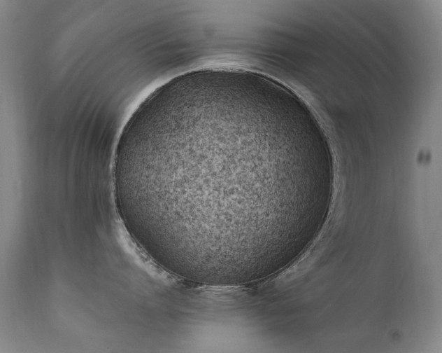 X0000111390864200907171244