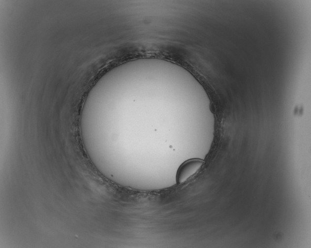 X0000111390865200907171244