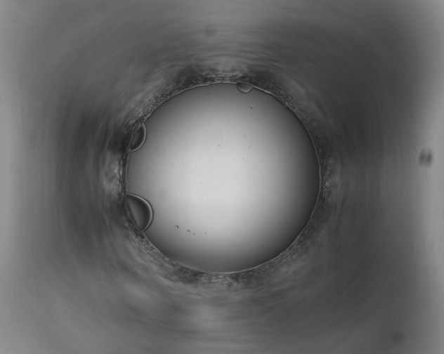 X0000111390866200907171243