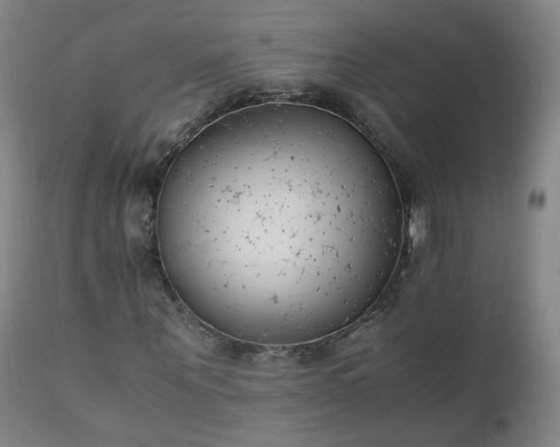 X0000111390867200907171243