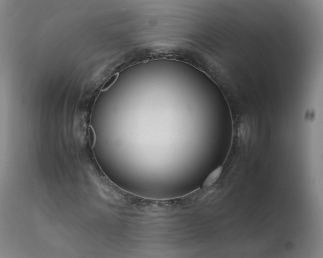 X0000111390868200907171243