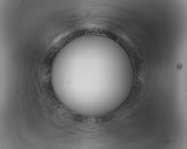 X0000111390869200907171243