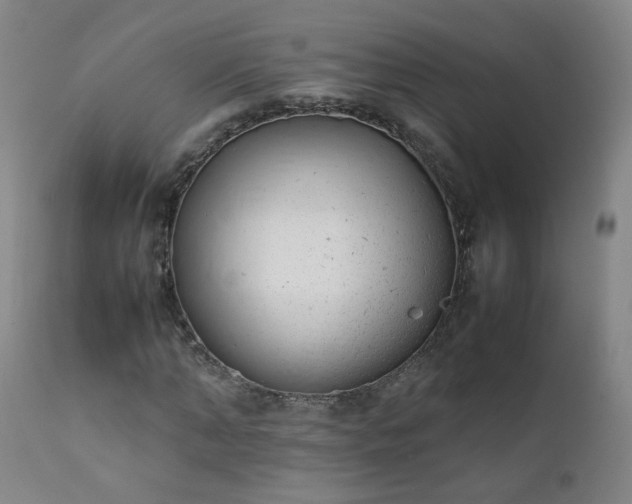 X0000111390870200907171243