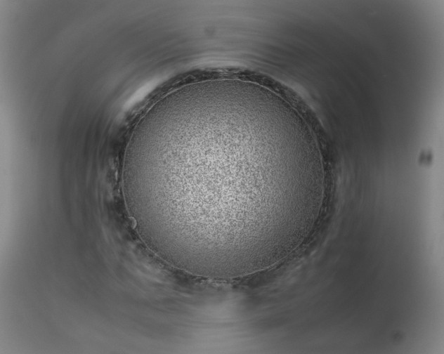 X0000111390871200907171243