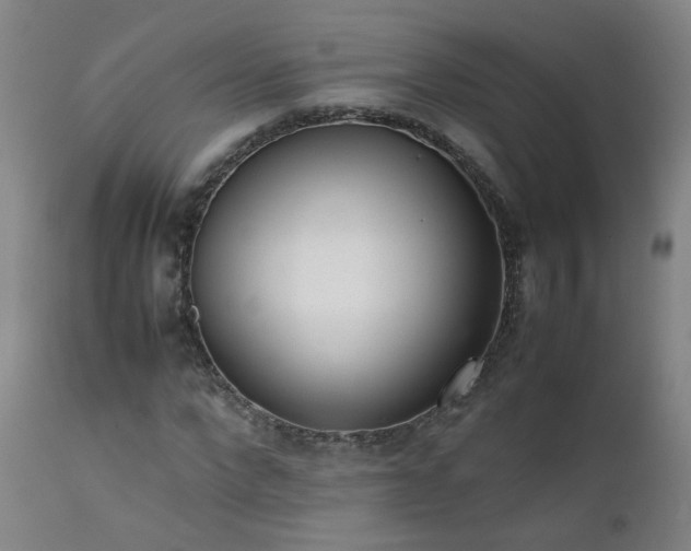 X0000111390872200907171243