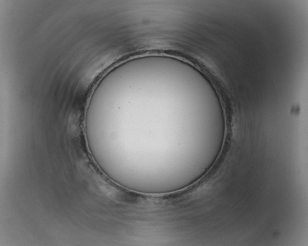 X0000111390873200907171243