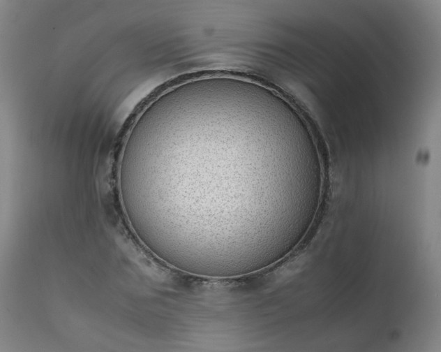 X0000111390875200907171243