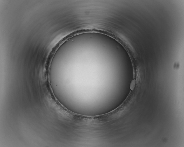 X0000111390876200907171243