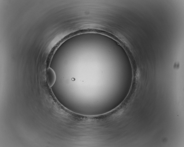 X0000111390877200907171243