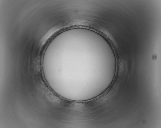 X0000111390878200907171243