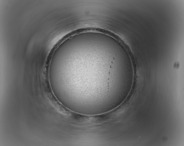 X0000111390879200907171243