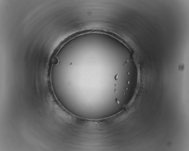 X0000111390880200907171243