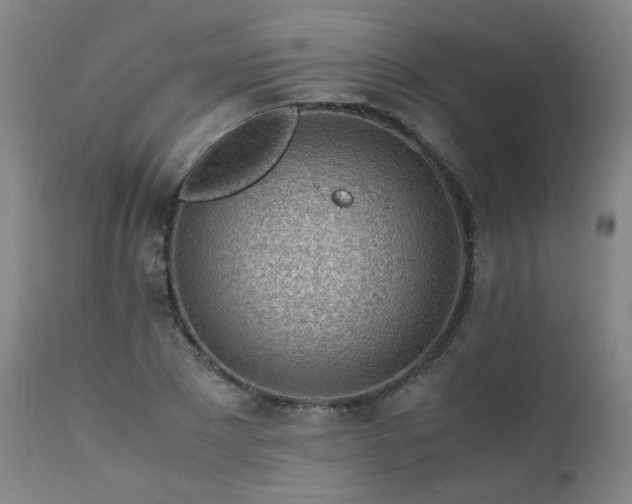 X0000111390881200907171243