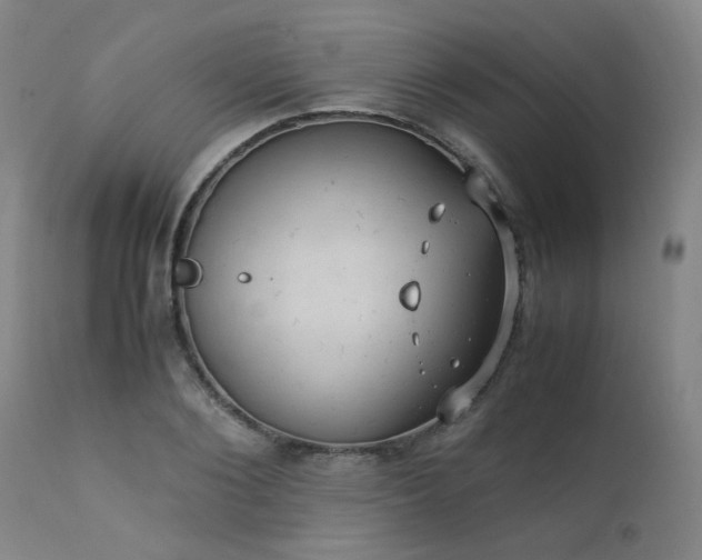 X0000111390884200907171243