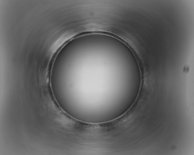 X0000111390885200907171243